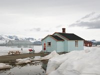 N, Spitsbergen, Ny-Alesund 3, Saxifraga-Bart Vastenhouw