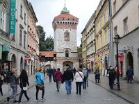 PL, Malopolskie, Krakow, Brama Florianska 1, Saxifraga-Tom Heijnen