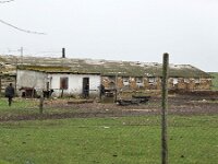 RO, Constanta, Cogealac, Gura Dobrogei 2, Saxifraga-Tom Heijnen