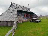 SLO, Osrednjeslovenska, Kamnik, Velika Planina Kamnik 5, Saxifraga-Hans Dekker
