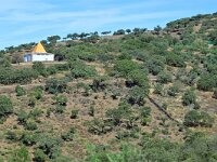 E, Caceres, Madronera 3, Saxifraga-Tom Heijnen