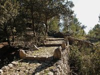 E, Mallorca, Alaro, Castel d Alaro 5, Saxifraga-Hans Dekker