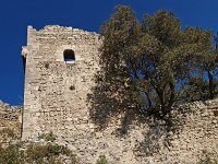 E, Mallorca, Alaro, Castel d Alaro 8, Saxifraga-Hans Dekker