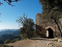 E, Mallorca, Alaro, Castel d Alaro 9, Saxifraga-Hans Dekker