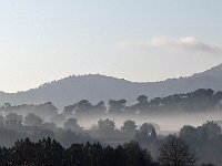 E, Mallorca, Manacor 2, Saxifraga-Hans Dekker