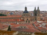 E, Salamanca, Salamanca 9, Saxifraga-Tom Heijnen