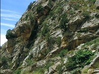 E, Teruel, Riodeva, Molino de la Montereta 7, Saxifraga-Jan van der Straaten