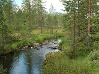 S, Jamtlands lan, Harjedalen 8, Saxifraga-Willem van Kruijsbergen