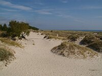 S, Skane Lan, Ystad, Sandhammaren 1, Saxifraga-Foto Fitis-Sytske Dijksen