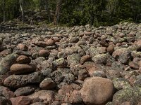 S, Vasternorrlands lan, Kramfors, Skuleskogen 3, Saxifraga-Jan van der Straaten