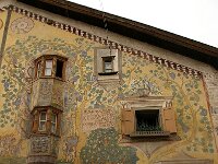 CH, Graubuenden, Ardez 2, Saxifraga-Foto Fitis-Sytske Dijksen