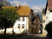 CH, Graubuenden, Guarda 22, Saxifraga-Foto Fitis-Sytske Dijksen