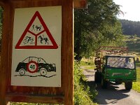 CH, Graubuenden, Guarda 26, Saxifraga-Foto Fitis-Sytske Dijksen