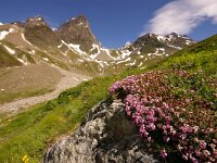 CH, Graubuenden, Guarda, Val Tuoi 2, Saxifraga-Foto Fitis-Sytske Dijksen