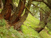 CH, Graubuenden, Lavin, Inn 1, Foto Fitis-Sytske Dijksen