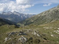 CH, Graubuenden, Spluegen, Spluegenpass 10, Saxifraga-Willem van Kruijsbergen