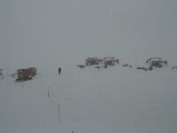 CH, Wallis, Saas Fee, Mittelallalin 2, Saxifraga-Willem van Kruijsbergen