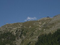 CH, Wallis, Saas Fee, Plattjen 1, Saxifraga-Willem van Kruijsbergen