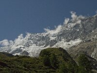 CH, Wallis, Saas Fee, Taschhorn-Dom 1, Saxifraga-Willem van Kruijsbergen