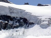 CH, Wallis, Saas-Fee, Allalinhorn 2, Saxifraga-Luuk Vermeer