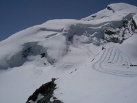 CH, Wallis, Saas-Fee, Allalinhorn 3, Saxifraga-Luuk Vermeer