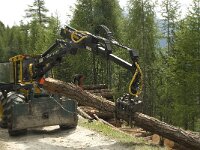 CH, Wallis, Saas Grund 14, Saxifraga-Willem van Kruijsbergen