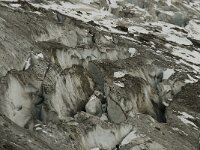 CH, Wallis, Saas Grund, Hohsaas, Triftgletscher 41, Saxifraga-Willem van Kruijsbergen