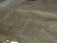 CH, Wallis, Saas Grund, Hohsaas-Weissmieshuette 2, Saxifraga-Willem van Kruijsbergen