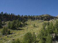 CH, Wallis, Saas Grund, Wanne 1, Saxifraga-Willem van Kruijsbergen