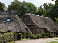NL, Drenthe, Aa en Hunze, Gasteren 8, Saxifraga-Foto Fitis-Sytske Dijksen