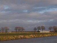 NL, Drenthe, Beilen, Beilervaart 1, Saxifraga-Hans Dekker