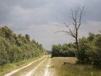 Bargerveen  Stormy sky in background. : Bad expectations, The way forward