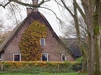 NL, Drenthe, Midden-Drenthe, Orvelte 20, Saxifraga-Hans Dekker