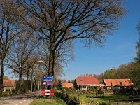NL, Drenthe, Midden-Drenthe, Witteveen 2, Saxifraga-Hans Dekker