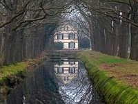 NL, Drenthe, Noordenveld, Bankenbosch 2, Saxifraga-Hans Dekker