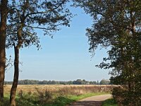 NL, Drenthe, Noordenveld, Peizermaden 9, Saxifraga-Hans Dekker