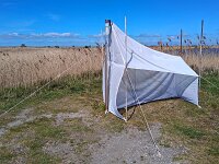 NL, Flevoland, Lelystad, Marker Wadden 14, malaiseval 1, Saxifraga-Tom Heijnen