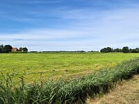 Typical open wide countryside of Dutch province Friesland  Typical open wide landscape of Dutch province Friesland : countryside, open wide, room, flat, agriculture, agricultural, farmland, green, sky, clouds, meadow, pasture, rural, rural landscape, landscape, non-urban landscape, outside, nature, natural, outdoor, outdoors, no people, nobody, summer, summertime, day, daytime, de veenhoop, smallingerland, friesland, fryslan, netherlands, holland, dutch, europe, european, ditch, water, horizon, non-urban scene