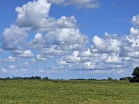 Typical open wide countryside of Dutch province Friesland  Typical open wide countryside of Dutch province Friesland : countryside, open wide, room, flat, agriculture, agricultural, farmland, green, sky, clouds, meadow, pasture, rural, rural landscape, landscape, non-urban landscape, not-urban scene, outside, nature, natural, outdoor, outdoors, no people, nobody, summer, summertime, day, daytime, friesland, fryslan, netherlands, holland, dutch, europe, european, elahuizen, de friese meren