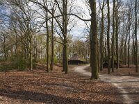 NL, Gelderland, Apeldoorn, Hoog Buurlo 1, Saxifraga-Jan Nijendijk