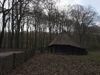 NL, Gelderland, Apeldoorn, Hoog Buurlo 3, Saxifraga-Jan Nijendijk