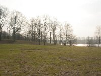 NL, Gelderland, Apeldoorn, Hunnenschans 1, Saxifraga-Jan Nijendijk