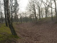 NL, Gelderland, Apeldoorn, Hunnenschans 5, Saxifraga-Jan Nijendijk