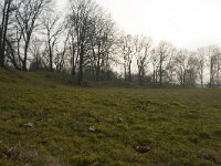 NL, Gelderland, Apeldoorn, Hunnenschans 6, Saxifraga-Jan Nijendijk