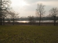 NL, Gelderland, Apeldoorn, Uddelermeer 2, Saxifraga-Jan Nijendijk