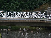 NL, Gelderland, Arnhem, Sonsbeek 18, Saxifraga-Foto Fitis-Sytske Dijksen