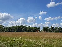 Rural landscape with nature reserve  in eastern part of Dutch province Gelderland  Rural landscape with nature reserve  in eastern part of Dutch province Gelderland : nature reserve, Winterswijk, Achterhoek Gelderland, Netherlands, Dutch, Holland, nature protection, nature, natural, woodland, forest, grass, grassy, grassland, field, tree, trees, rural landscape, landscape, rural scene, non-urban landscape, non-urban scene, outside, outdoor, outdoors, no people, nobody, summer, summertime, cloud, clouds, cloudy, sky, skyscape, blue