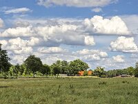 Rural landscape in eastern part of Dutch province Gelderland  Rural landscape in eastern part of Dutch province Gelderland : Winterswijk, Netherlands, Dutch, Holland, nature, natural, farm, farmland, grass, grassy, grassland, field, tree, trees, rural landscape, landscape, rural scene, non-urban landscape, non-urban scene, outside, outdoor, outdoors, no people, nobody, summer, summertime, cloud, clouds, cloudy, sky, skyscape, blue, Achterhoek, Gelderland