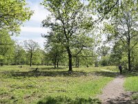NL, Limburg, Leudal, Leubeek valley 2, Saxifraga-Tom Heijnen