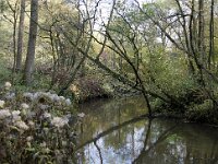 NL, Limburg, Leudal, Leudal 2, Saxifraga-Foto Fitis-Sytske Dijksen